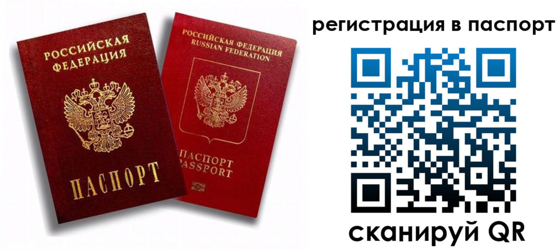 прописка 2025 в Гусь-Хрустальном